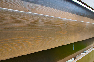 лиственница сорт аб для забора