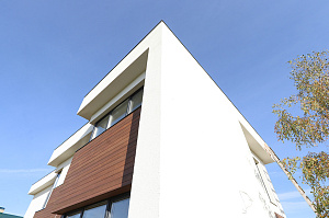 Фасад и баня в стиле 