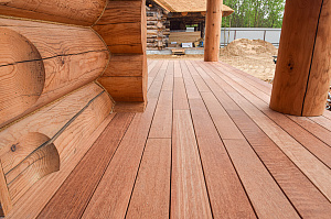 Кемпас — дерево, которое не боится ничего: экзотика с характером на вашей террасе