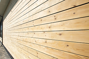 планкен из сосны