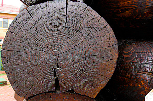 Шлифовка и наложение новой краски