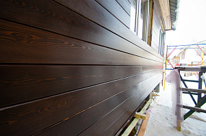 крашеный планкен