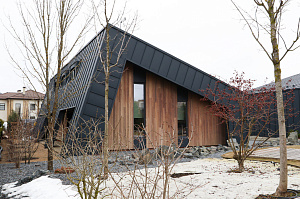 Идеальное решение для нашего климата: термоясень, не боящийся влаги и перепадов температур