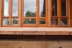 Кемпас — дерево, которое не боится ничего: экзотика с характером на вашей террасе