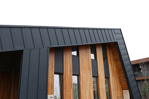 Идеальное решение для нашего климата: термоясень, не боящийся влаги и перепадов температур