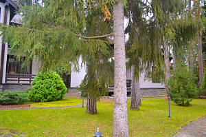 загородный дом