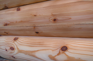 блок хаус из сосны