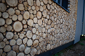 облицовка фасада