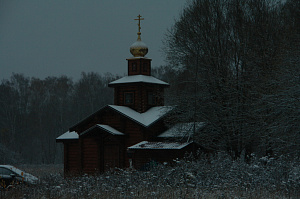 дом из бревна