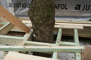 Гостевой дом в Янино: Идеальное слияние с лесным ландшафтом