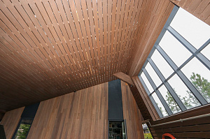 Идеальное решение для нашего климата: термоясень, не боящийся влаги и перепадов температур