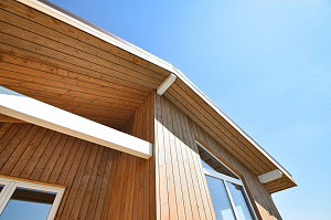 От утепления до финишной планки: комплексный подход к преображению фасада в Никитинской усадьбе