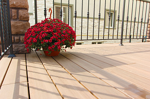 терраса термоясень