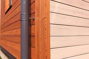 Петергоффские аллеи требуют статуса: как термолиственница преобразила каркасный дом в элитном посёлке