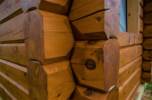 От шлифовки до финишного блеска: 10 дней работы, 10 лет защиты — покраска бруса от Лесобиржи-Спб