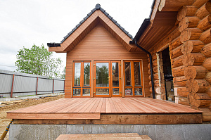 Кемпас — дерево, которое не боится ничего: экзотика с характером на вашей террасе