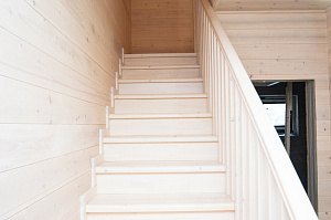 сосновая лестница