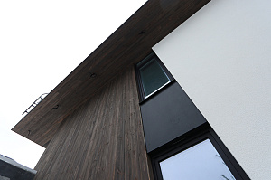 Комбинированный фасад от Лесобиржа-Спб: гармония стиля и долговечности в 