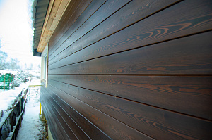 скошенный крашеный планкен