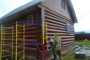 крашеный бревенчатый дом