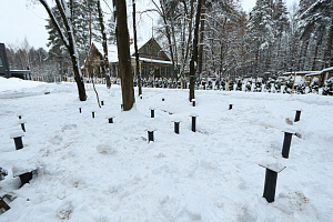 Гостевой дом в Янино: Идеальное слияние с лесным ландшафтом