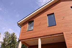 Петергоффские аллеи требуют статуса: как термолиственница преобразила каркасный дом в элитном посёлке