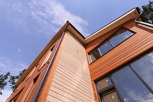 Петергоффские аллеи требуют статуса: как термолиственница преобразила каркасный дом в элитном посёлке