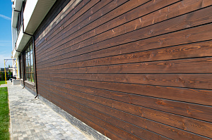 крашеный планкен