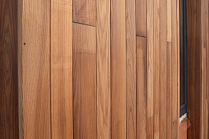 Идеальное решение для нашего климата: термоясень, не боящийся влаги и перепадов температур