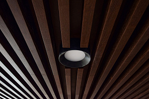 Потолок, о котором говорят: трендовое решение для статусного офиса