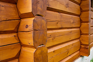 От шлифовки до финишного блеска: 10 дней работы, 10 лет защиты — покраска бруса от Лесобиржи-Спб