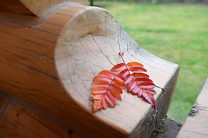 дерево брус шлифовка