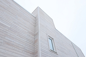 Современный каркасный дом с эксплуатируемой кровлей у Озера Врево