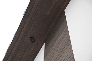 Комбинированный фасад от Лесобиржа-Спб: гармония стиля и долговечности в 