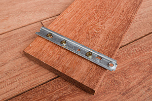 Кемпас — дерево, которое не боится ничего: экзотика с характером на вашей террасе