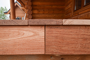 Кемпас — дерево, которое не боится ничего: экзотика с характером на вашей террасе