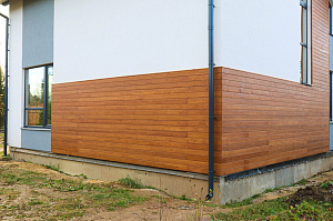 Крашеный планкен на заказ