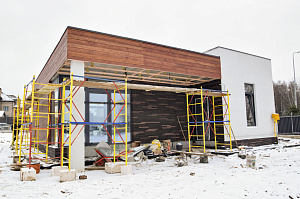 планкен лиственничный