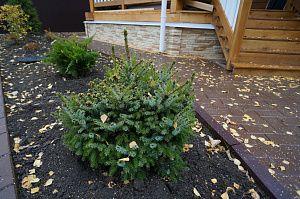 Вдохнуть жизнь в стены: полный цикл отделки дома из клееного бруса