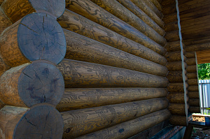 сруб под маслом