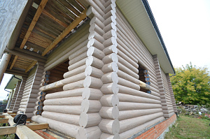 Качество не всегда стоит дорого: выбор масла Renner YS M046 для сруба в Приозерье с гарантией 8 лет