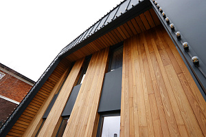 Идеальное решение для нашего климата: термоясень, не боящийся влаги и перепадов температур