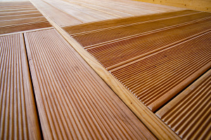 лиственница сорт аб