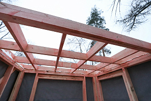 Уникальные всесезонные домики на дереве в LESO Парке