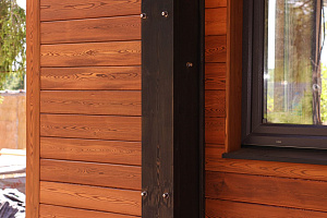 Петергоффские аллеи требуют статуса: как термолиственница преобразила каркасный дом в элитном посёлке