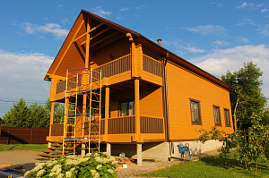 красим дерево