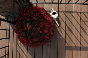 термодерево для террасы