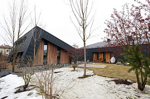 Идеальное решение для нашего климата: термоясень, не боящийся влаги и перепадов температур