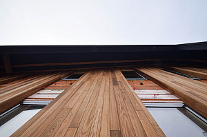 Идеальное решение для нашего климата: термоясень, не боящийся влаги и перепадов температур