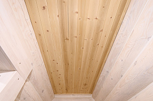 Баня мечты в Бобровом: комплексная отделка и покраска сруба